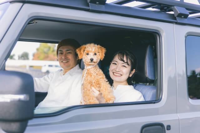 犬とドライブの画像