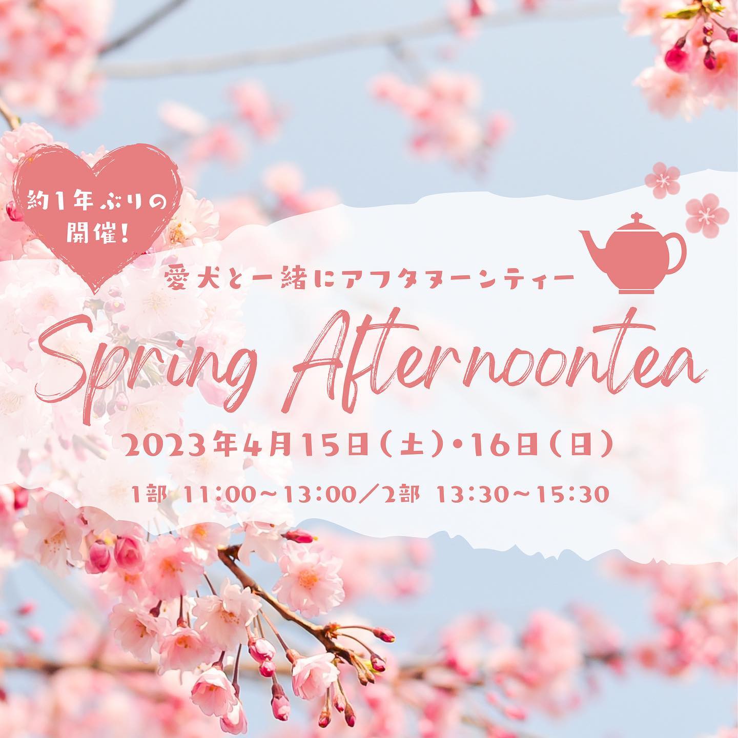 Spring Afternoon teaの画像
