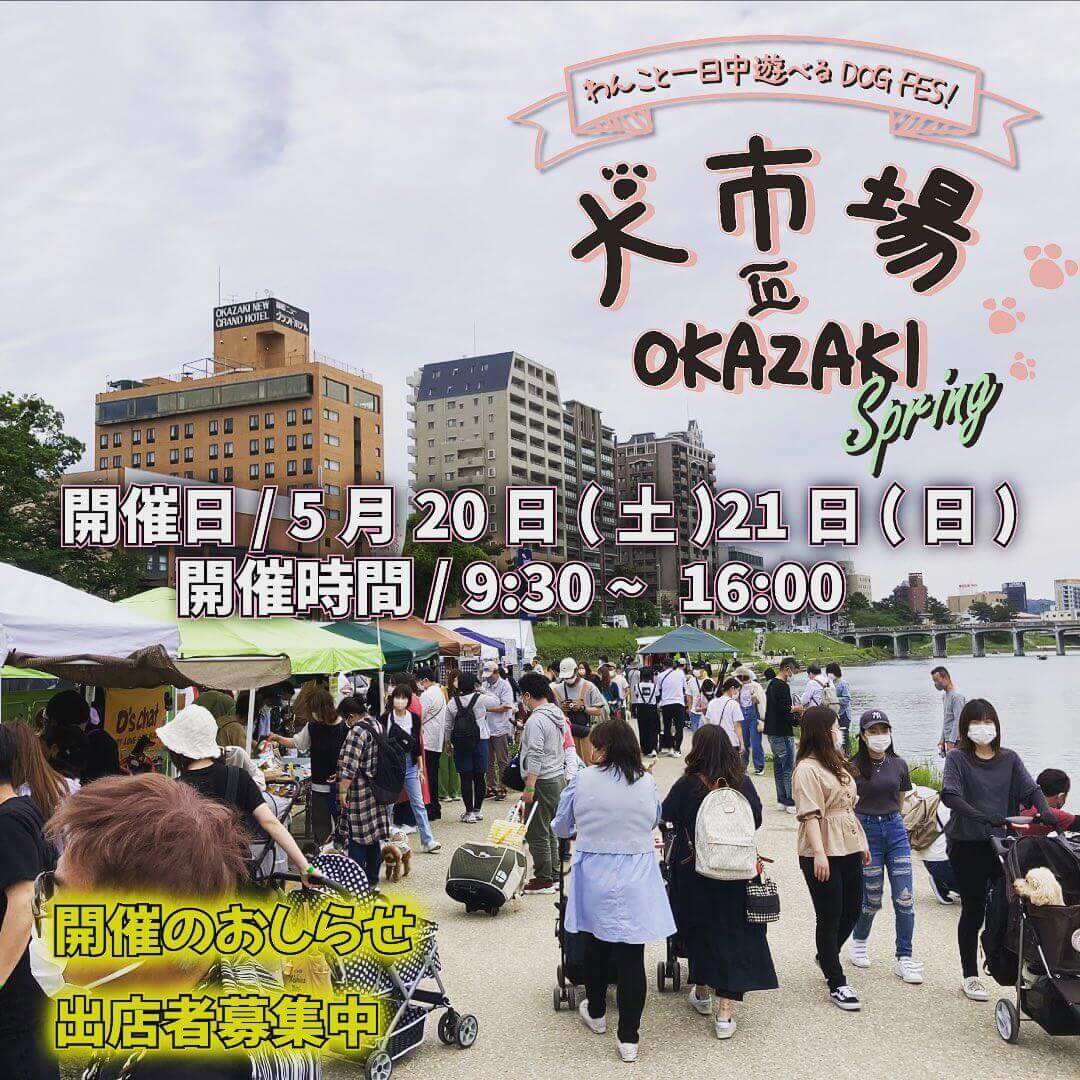 犬市場 in OKAZAKI 2023 Springの画像