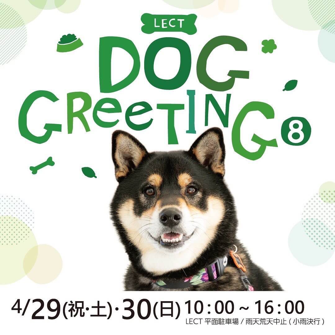 LECT DOG GreeTING の画像