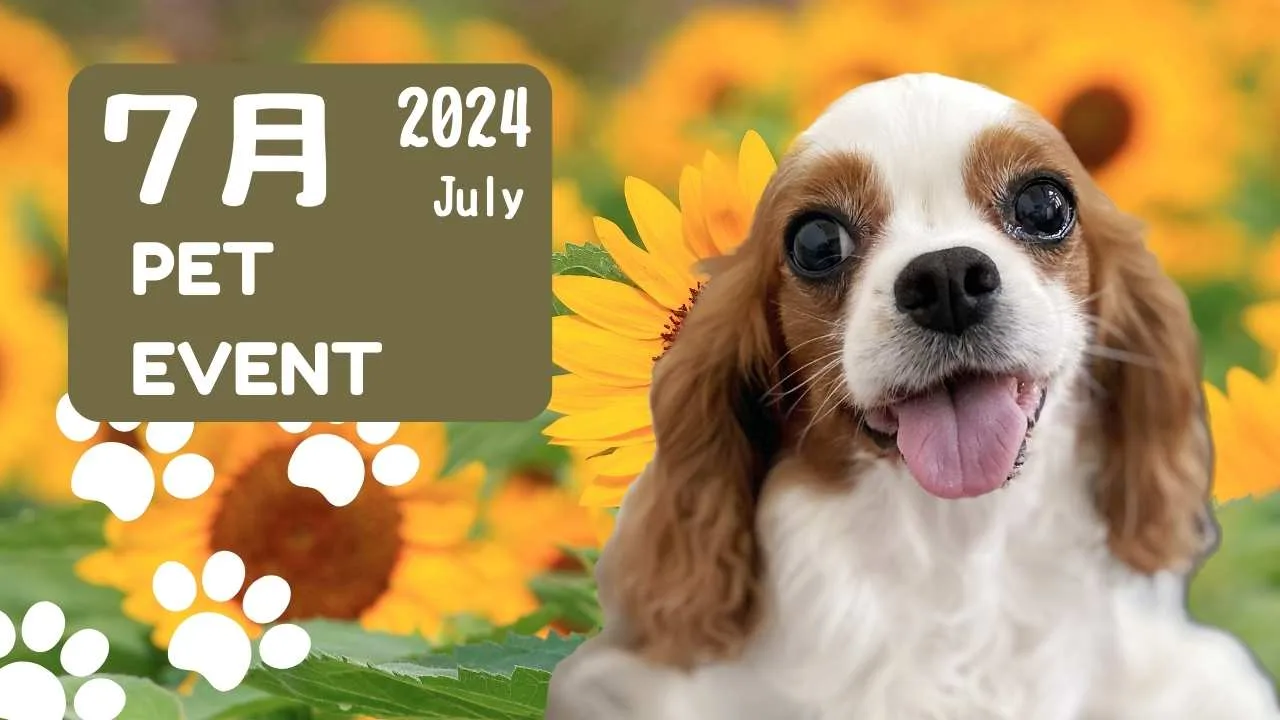 2024年7月イベント