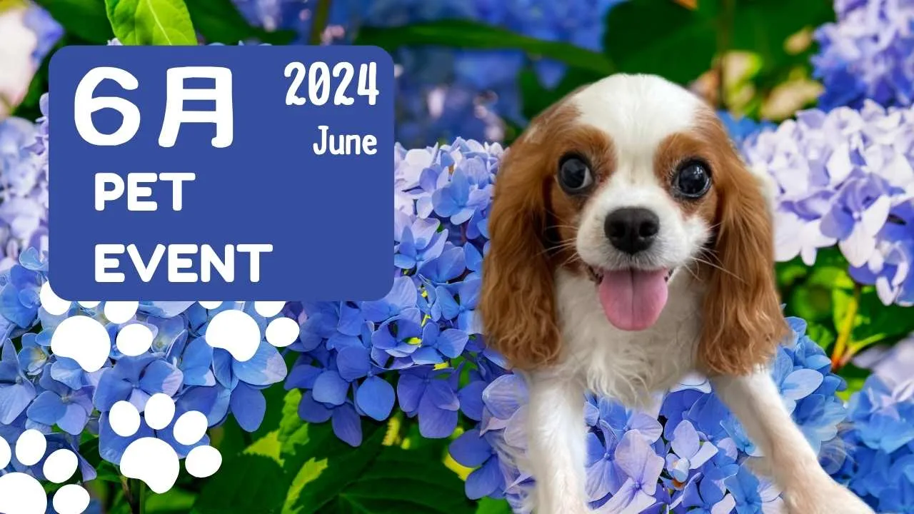 2024年6月イベント
