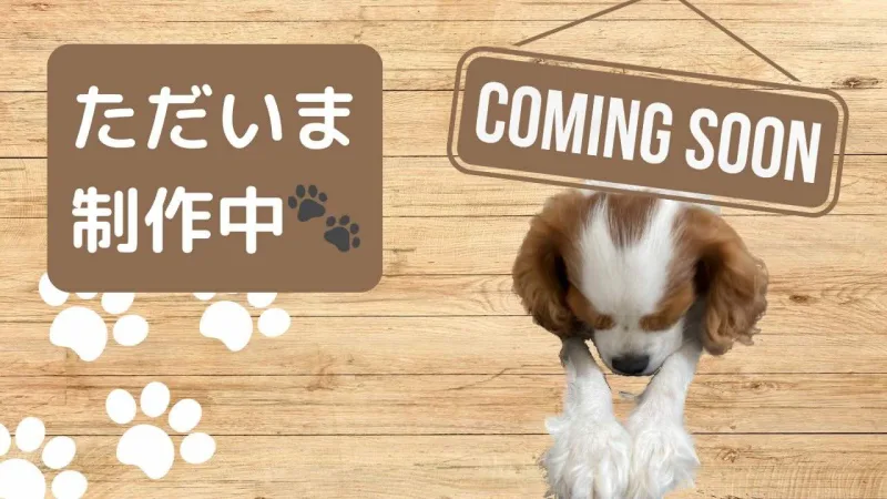 ラテちゃんねる制作中の画像