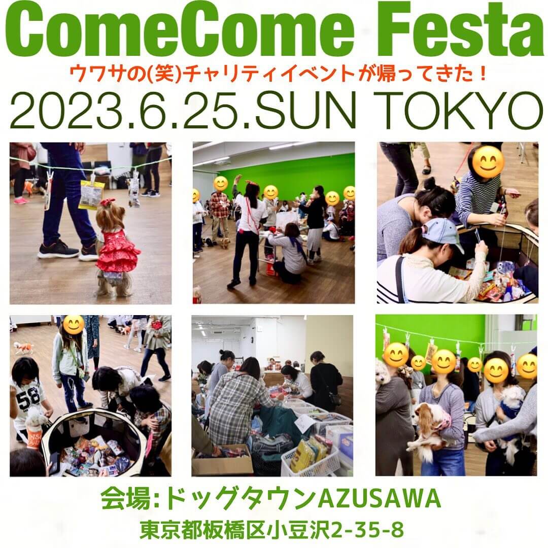 ComeCome Festa 2023 TOKYOの画像