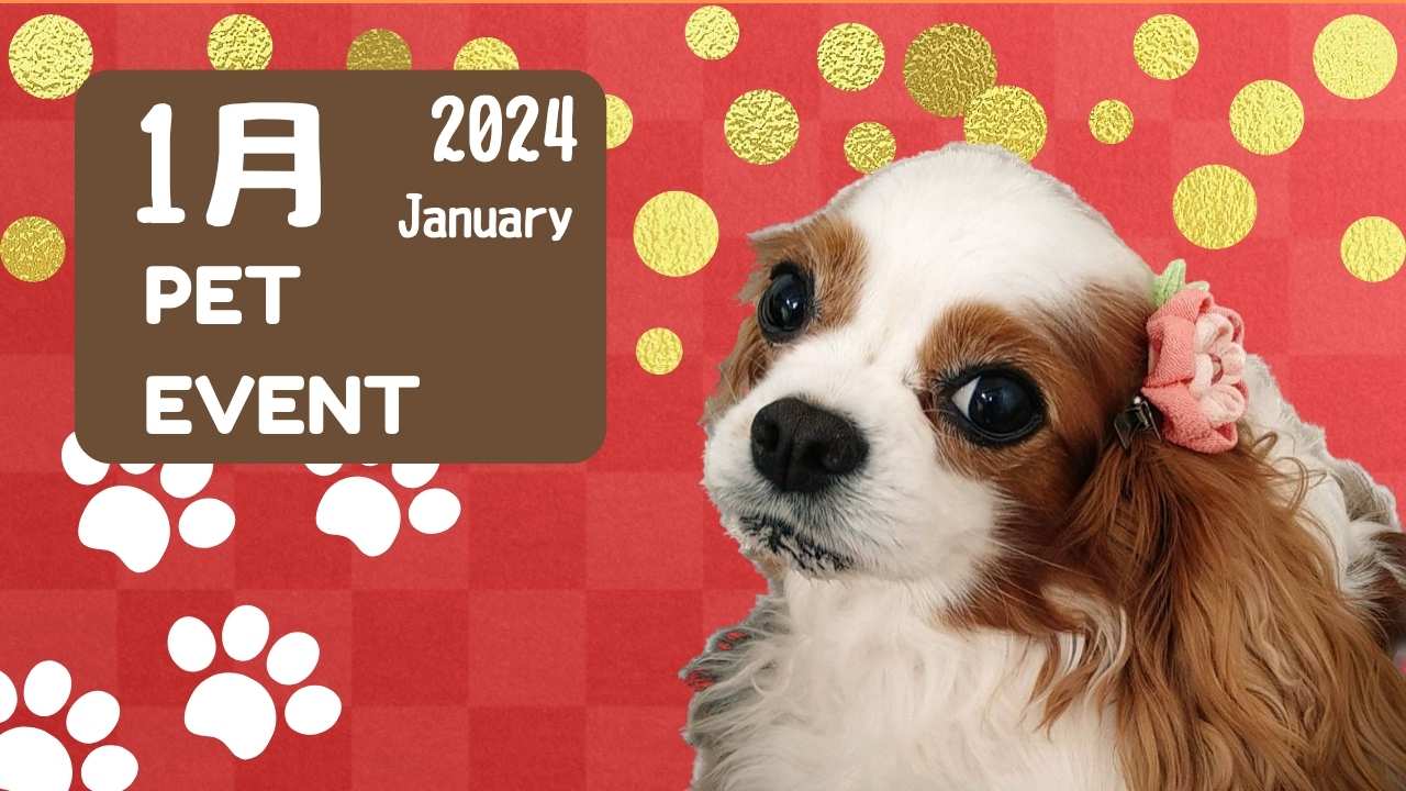 2024年1月イベントバナーの画像