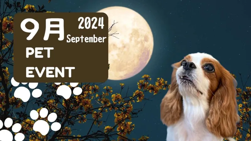 2024年9月イベント