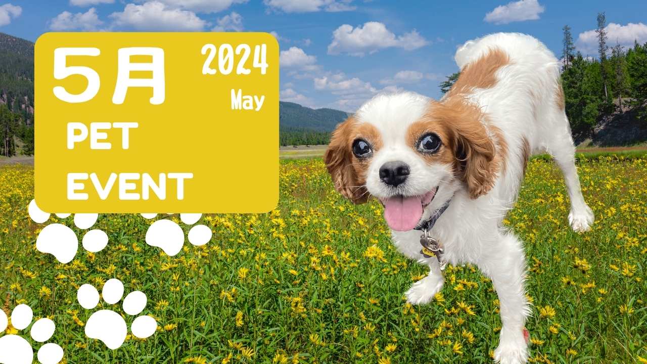 2024年5月のイベント