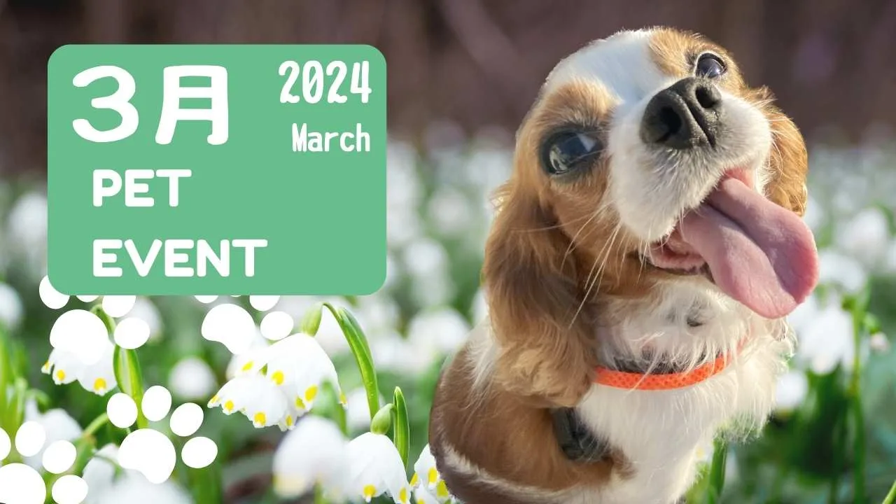 2024年3月のイベントのバナー