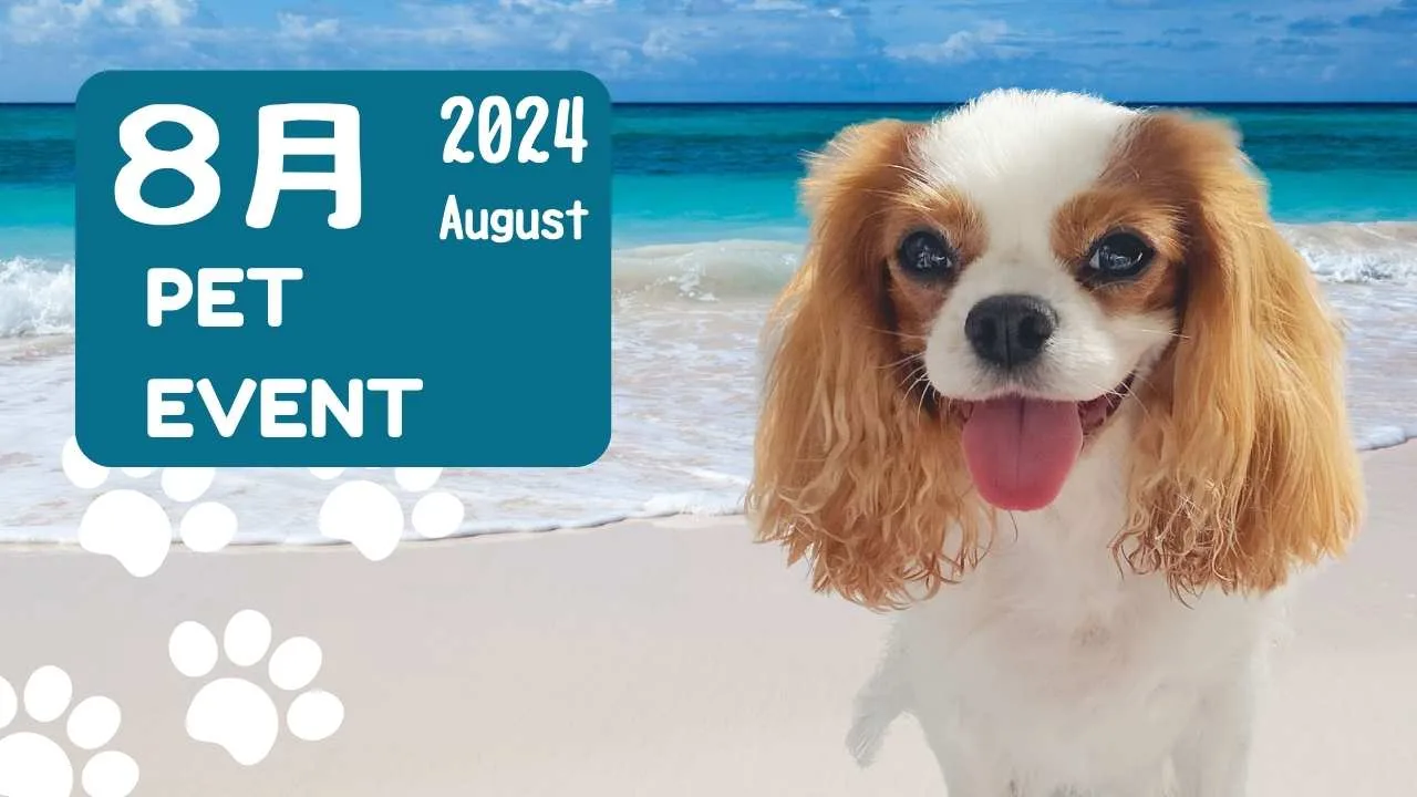 2024年10月イベント