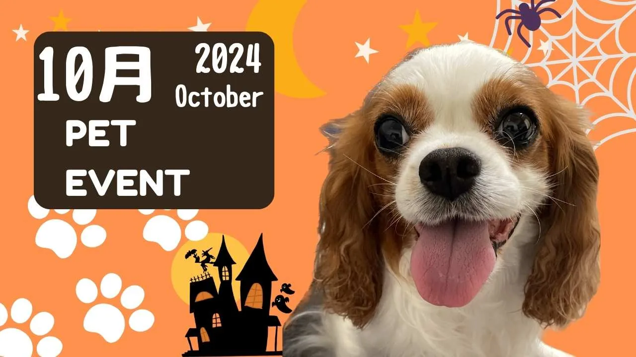 2024年10月イベント