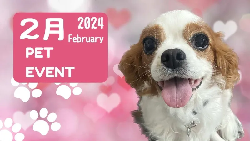 2024年2月のイベントの画像