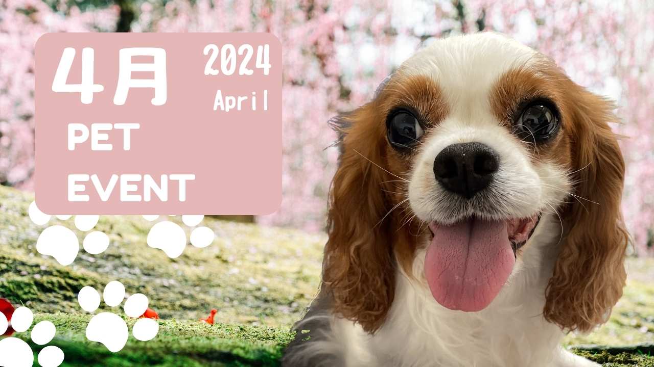 2024年4月のイベントのバナー