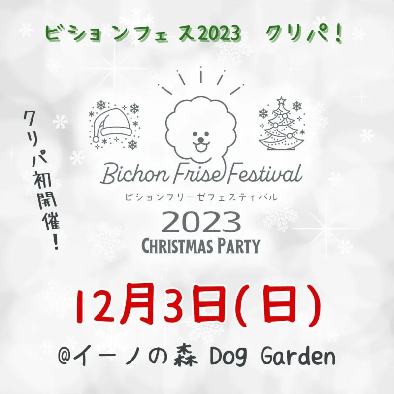 ビションフリーゼフェスティバル2023 クリパの画像