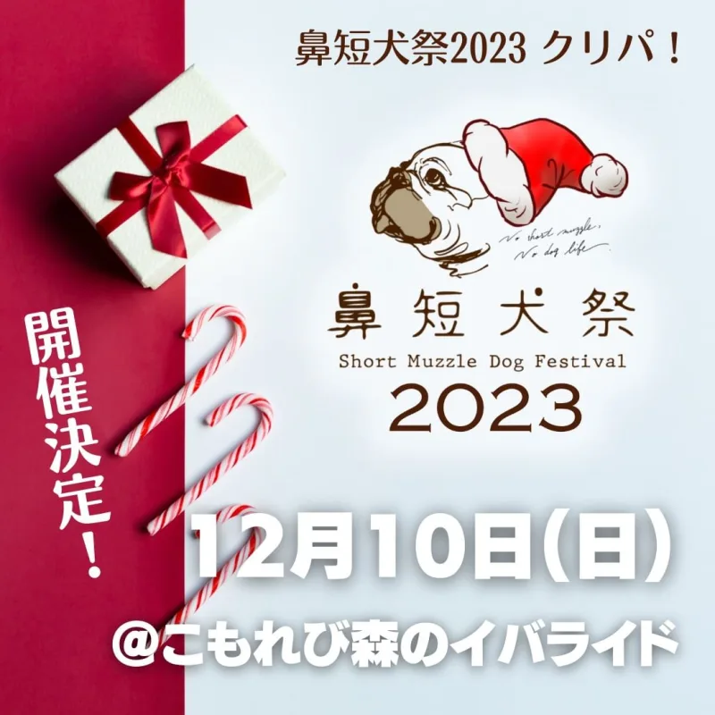鼻短犬祭2023クリパの画像