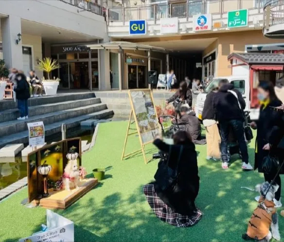 第7回 みのおわんわんモールの画像