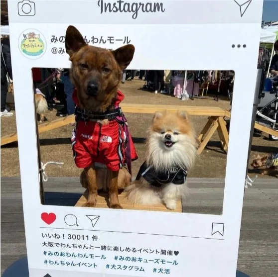 第7回 みのおわんわんモールのフォトスポットの画像