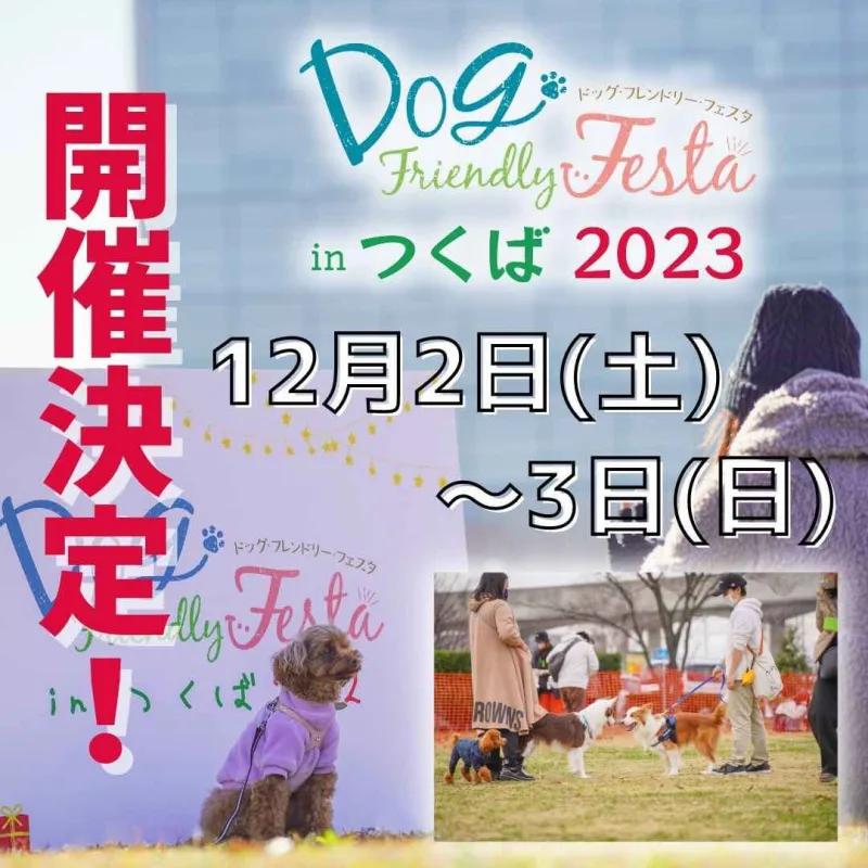ドッグフレンドリーフェスタ in つくば2023の画像