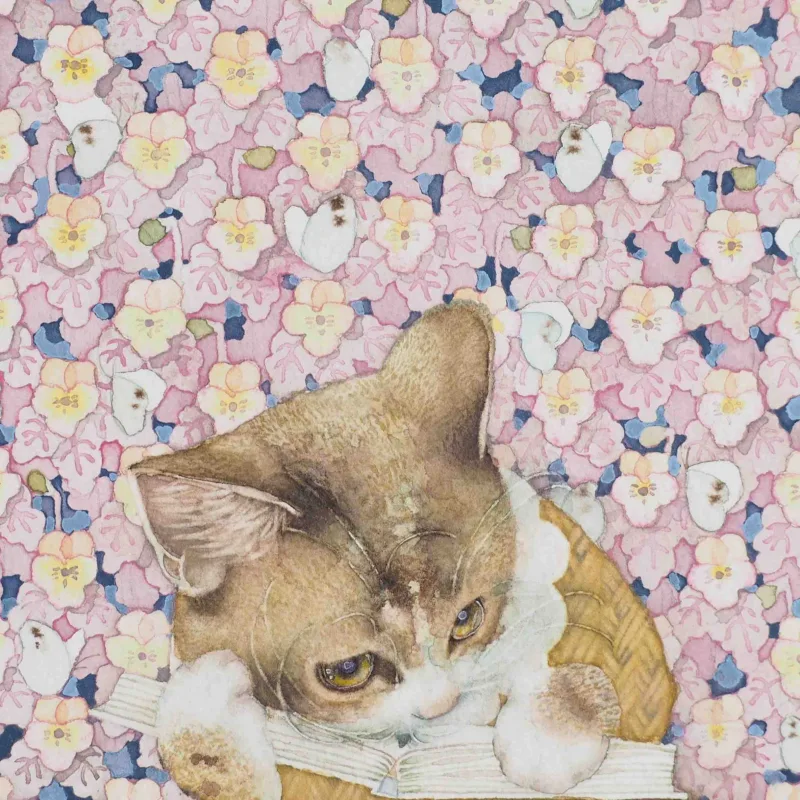 モリカナコの画像