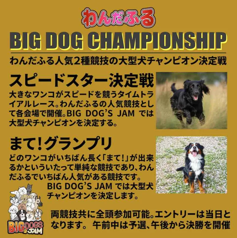 BIG DOG'S JAM 2023 in 生駒高原のイベント内容の画像