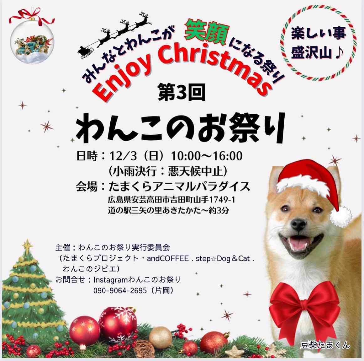 第3回 わんこのお祭りの画像