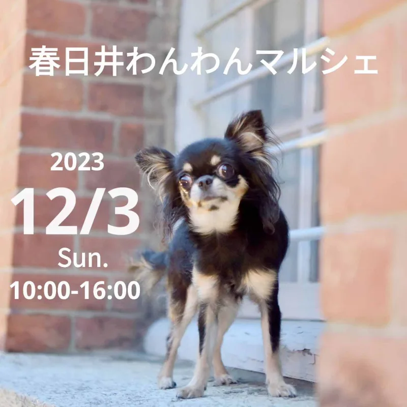 春日井わんわんマルシェの画像