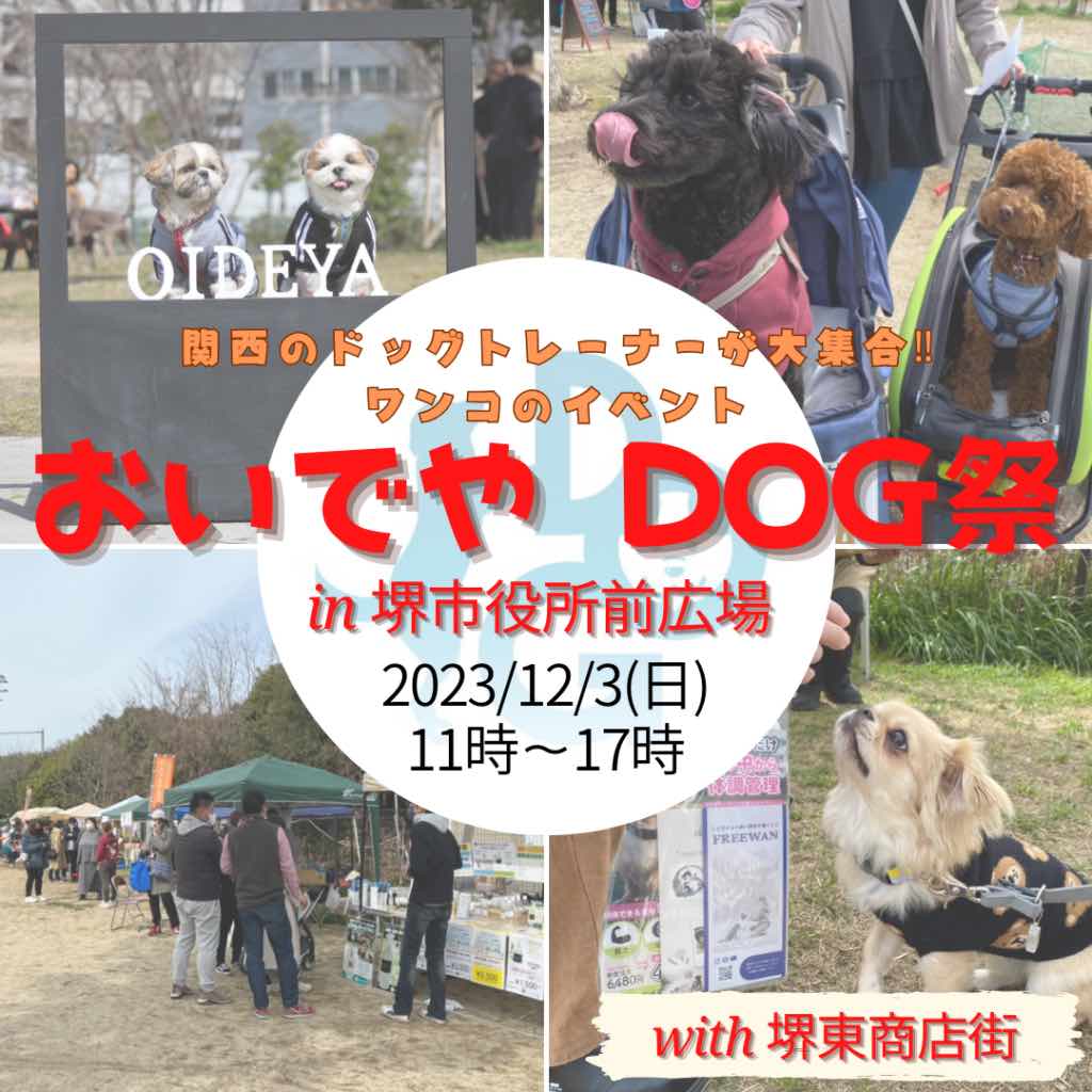 おいでやDOG祭 2023 冬 in Minaさかいの画像