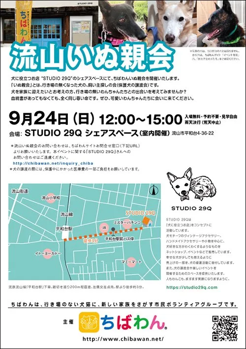 第516回 流山いぬ親会(第20回)の画像