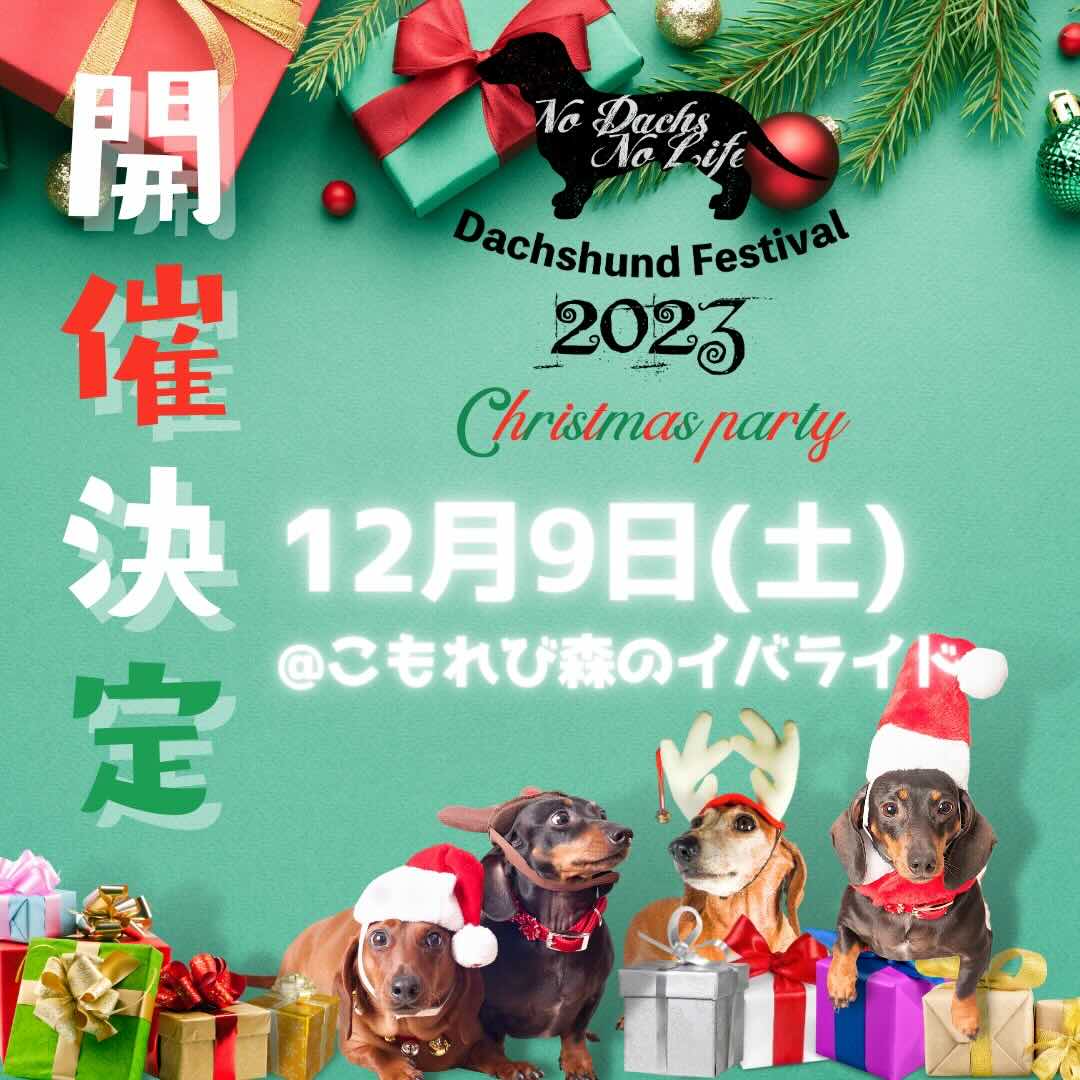 ダックスフントフェスティバル2023 クリパ – Dachshund Festival 2023 Cristmas party–の画像