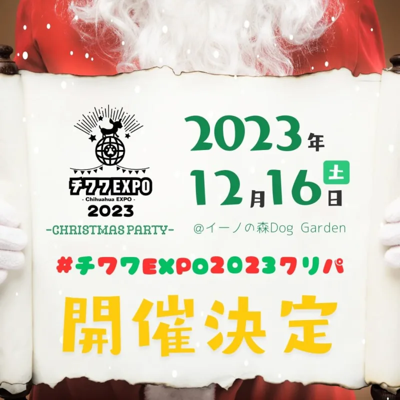 チワワEXPO2023クリパ – Chihuahua EXPO 2023 christnas party –の画像