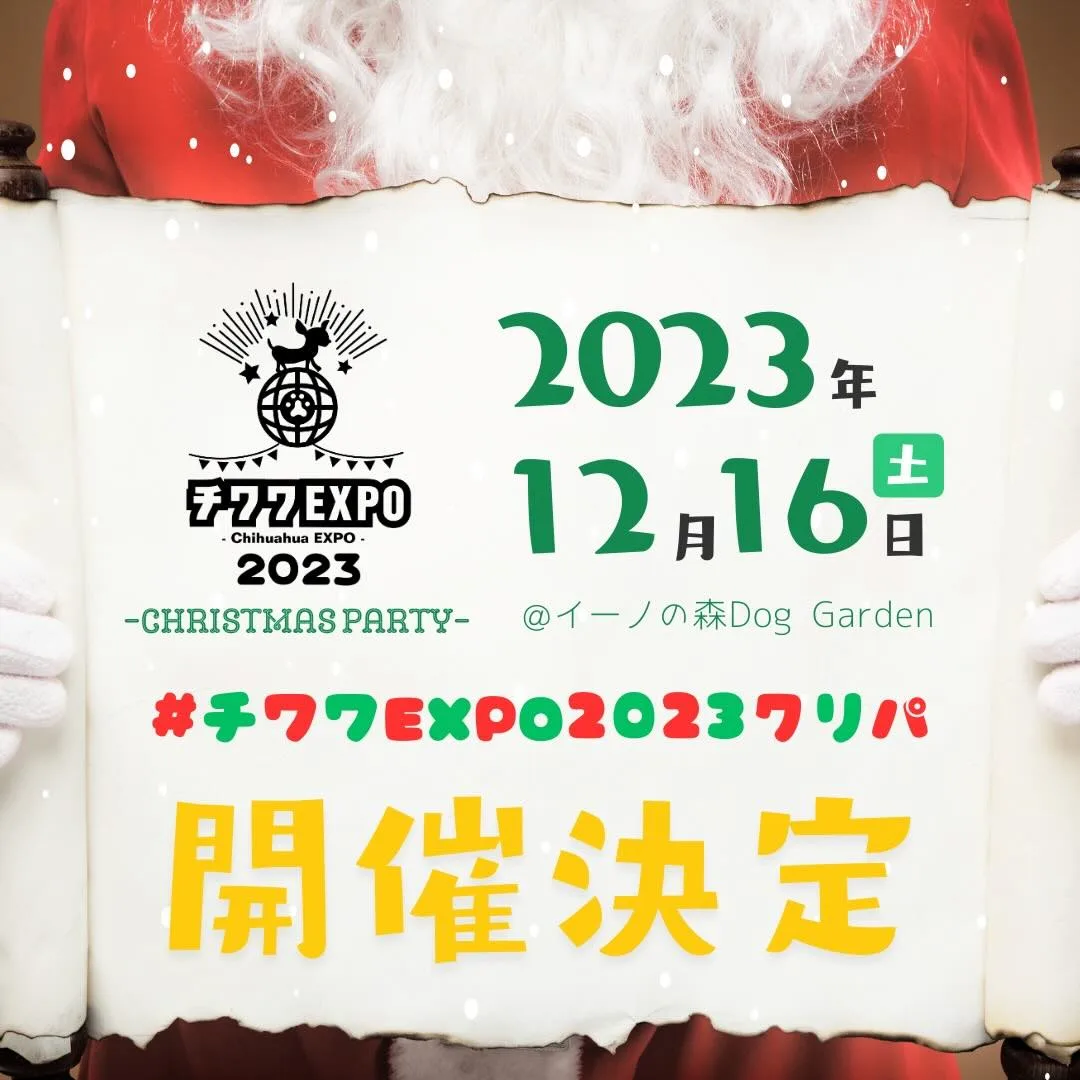 チワワEXPO2023クリパ – Chihuahua EXPO 2023 christnas party –の画像