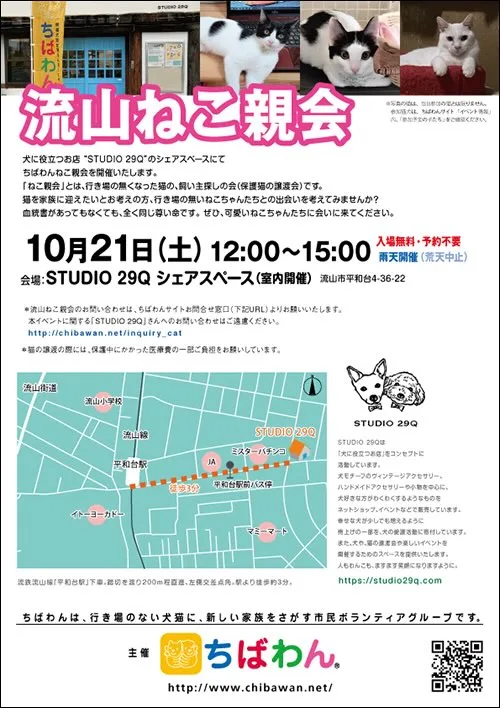 第155回流山ねこ親会の画像