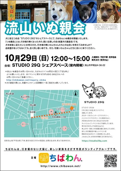 第519回 流山いぬ親会の画像