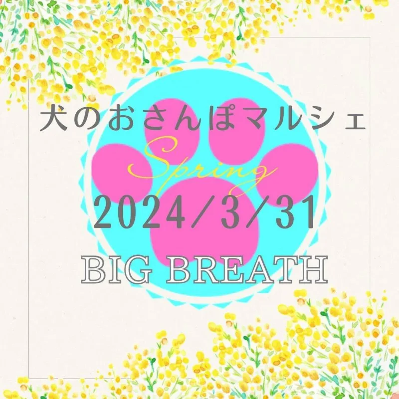 第7回 犬のおさんぽマルシェの画像