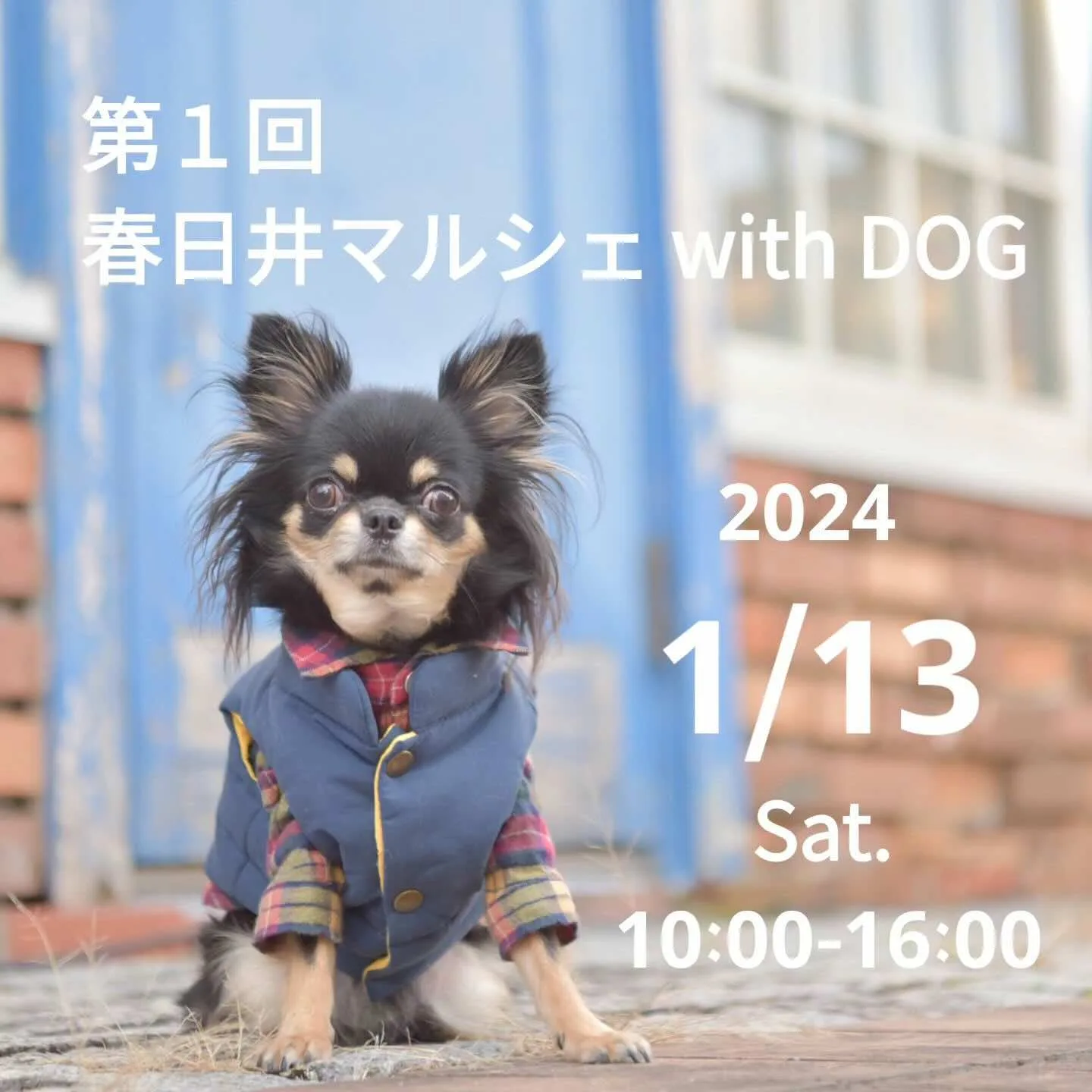 春日井マルシェ with DOGの画像