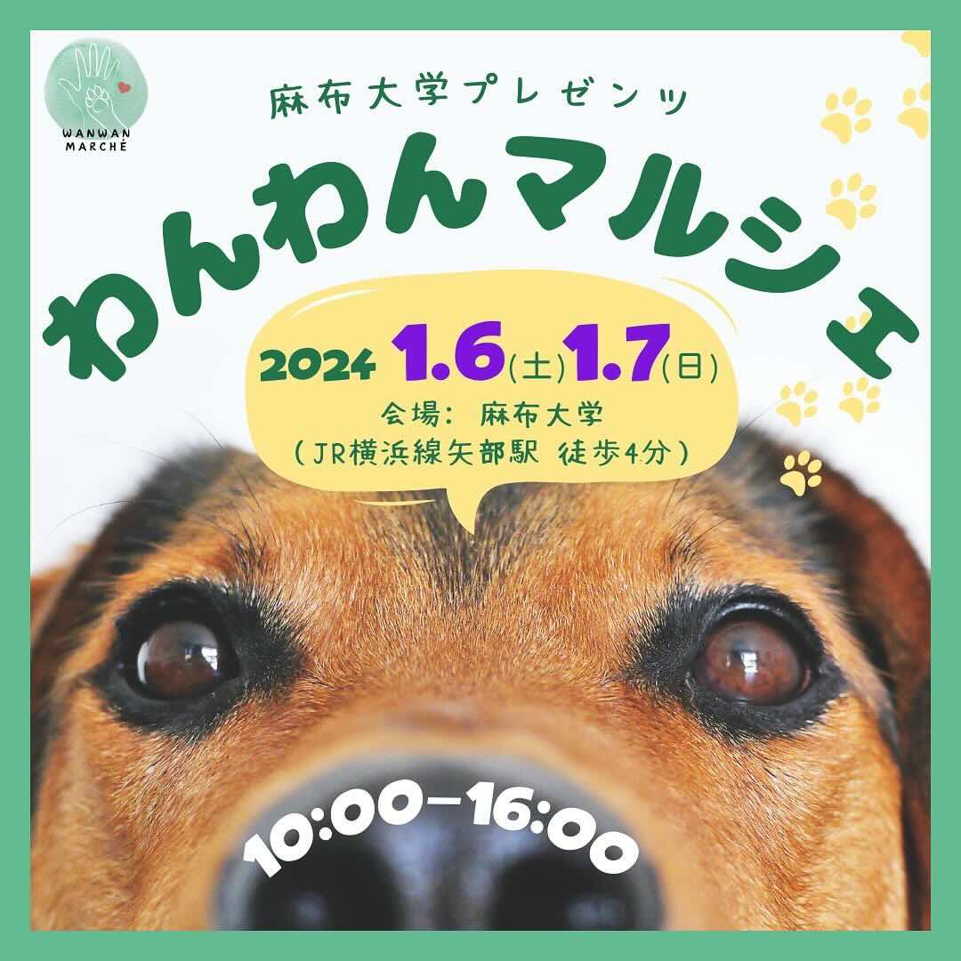 わんわんマルシェの画像