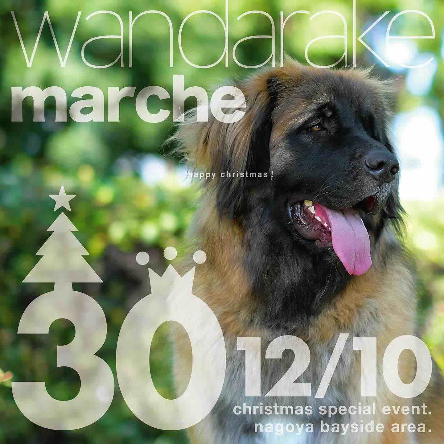 wandarake 30 Xmas Specialの画像