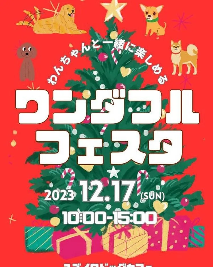 ワンダフルフェスタ クリスマスミニマルシェの画像