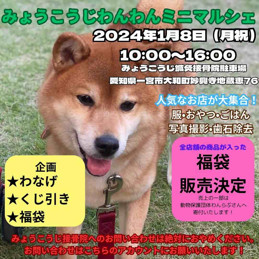 みょうこうじわんわんミニマルシェの画像