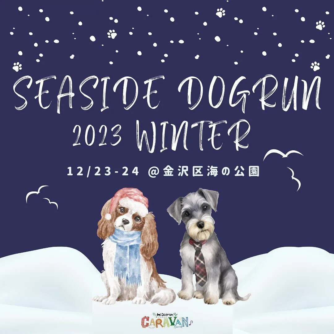 SEASIDE DOGRUN 2023 WINTER in 海の公園の画像