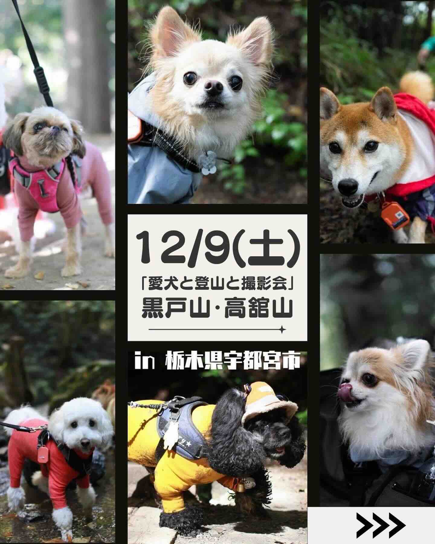 Have Fun Base vol.2の画像