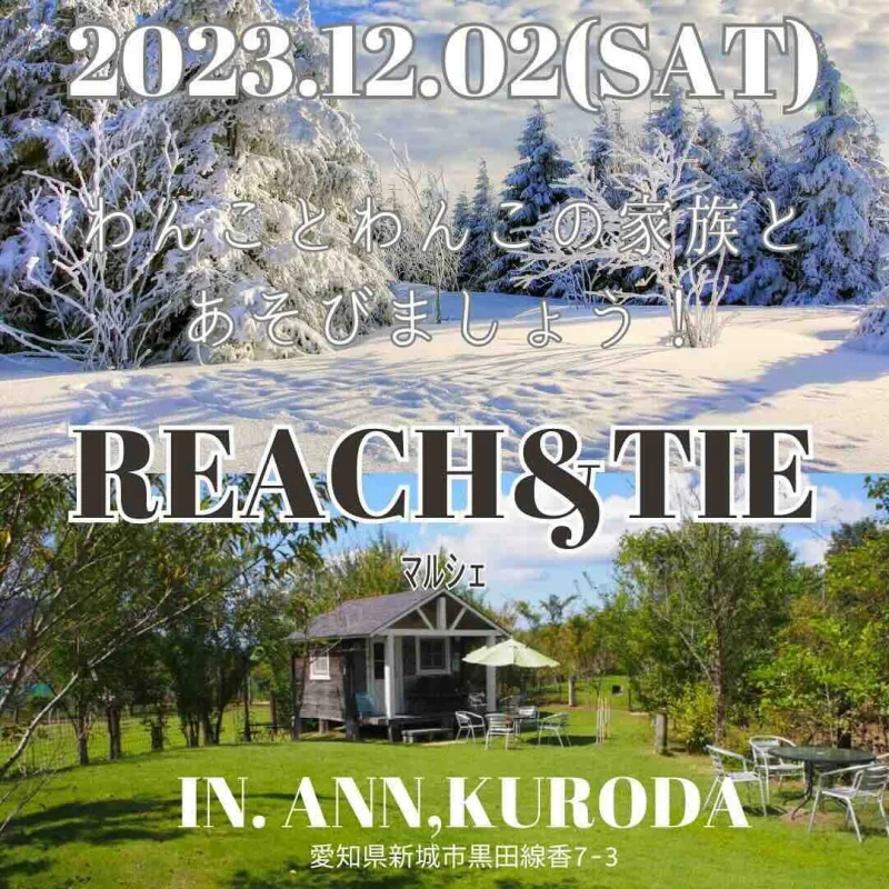 REACH＆TIE マルシェの画像