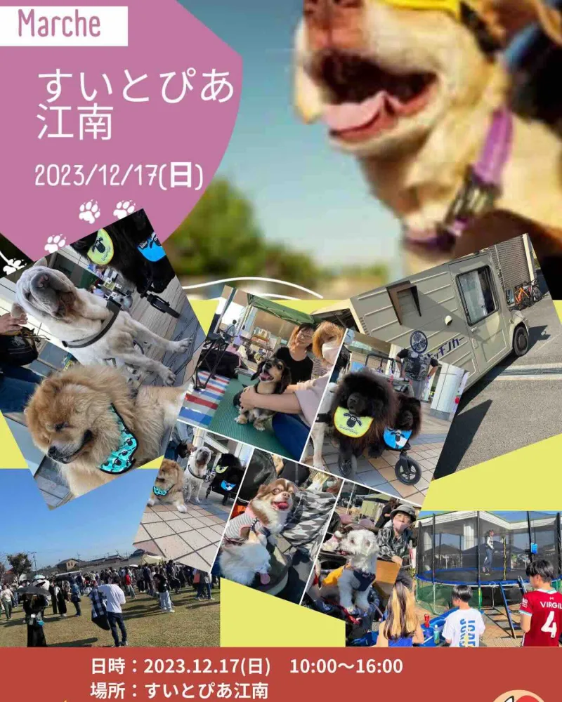 わんこマルシェ@すいとぴあの画像