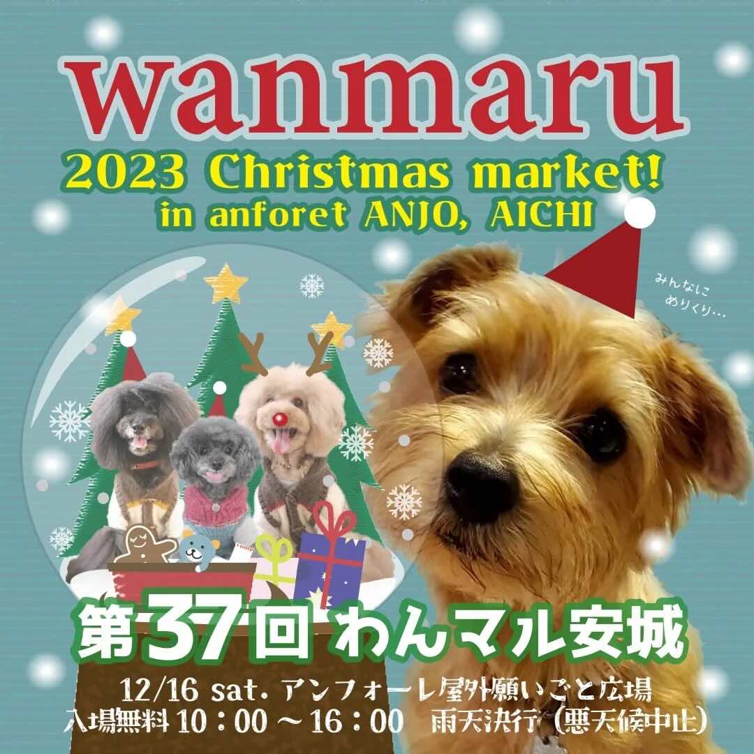 第37回わんマル安城 inアンフォーレの画像