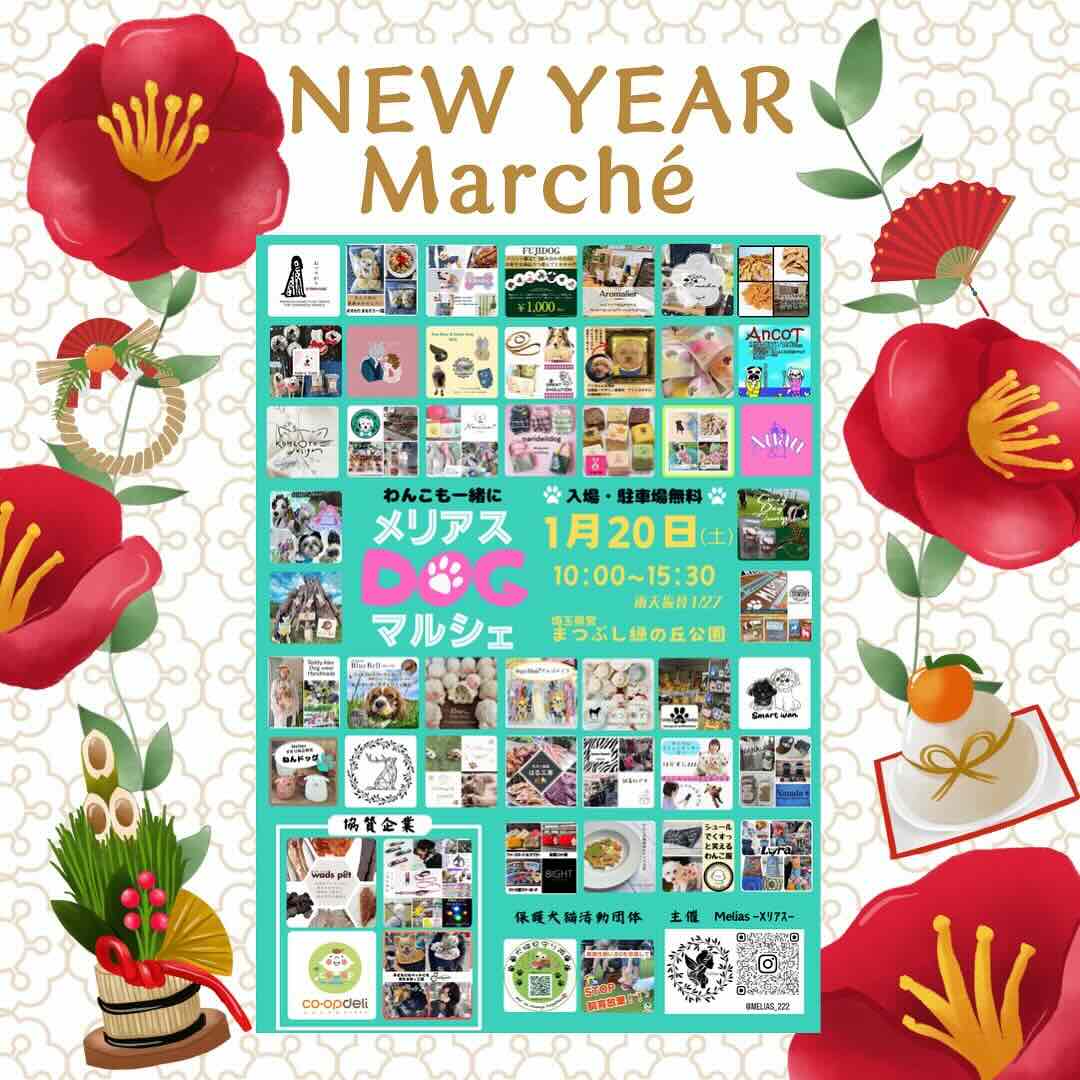 メリアスDOGマルシェ in まつぶし緑の丘公園の画像