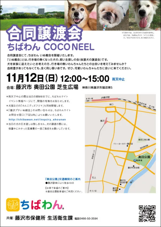 藤沢いぬ親会&わんこグッズプチフリマの画像