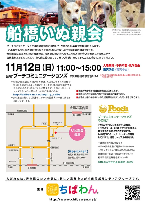 第520回 船橋いぬ親会(63回)の画像