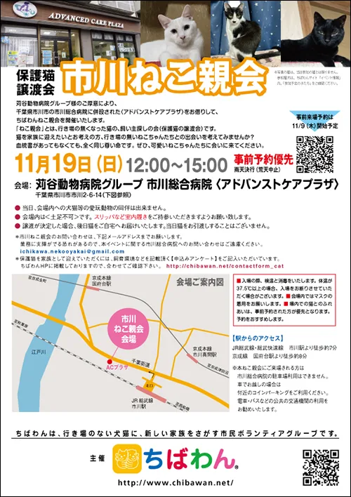 第156回市川ねこ親会(35回)の画像