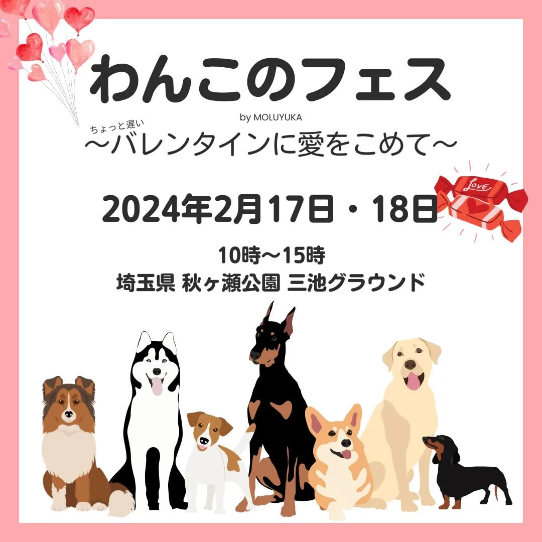 わんこのフェス by MOLUYUKA〜ちょっと遅いバレンタインに愛を込めて〜の画像