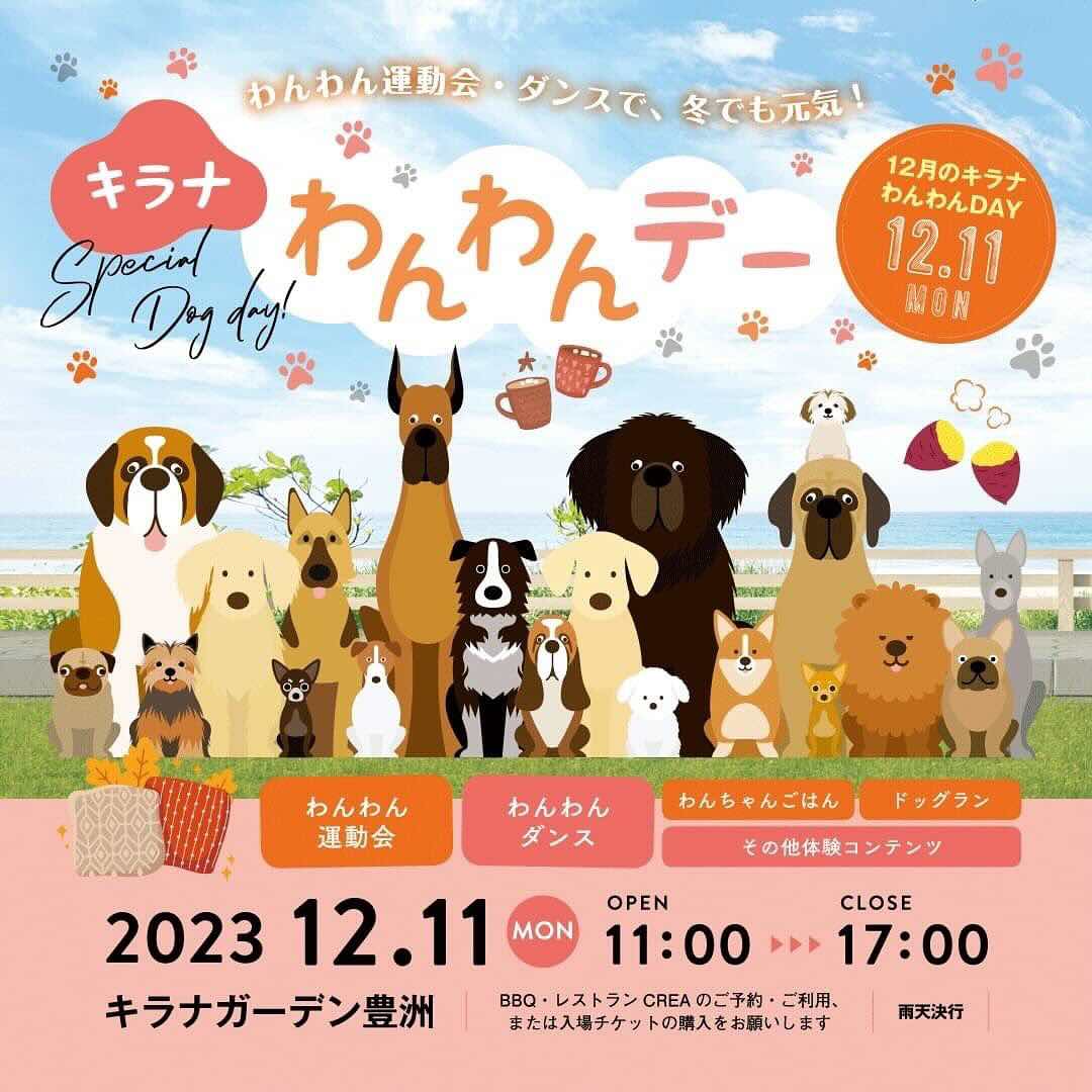 キラナわんわんデーの画像