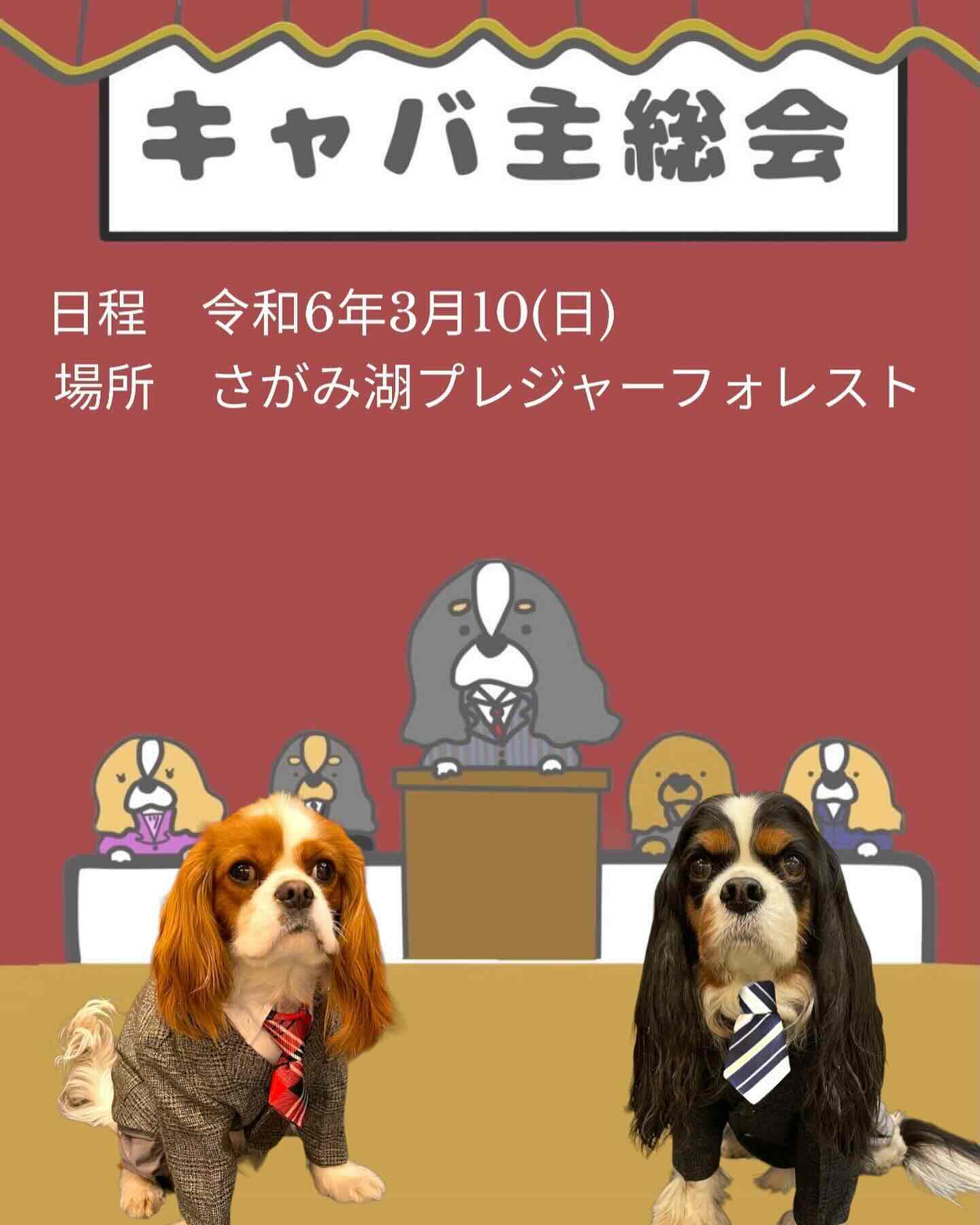 キャバ主総会の画像